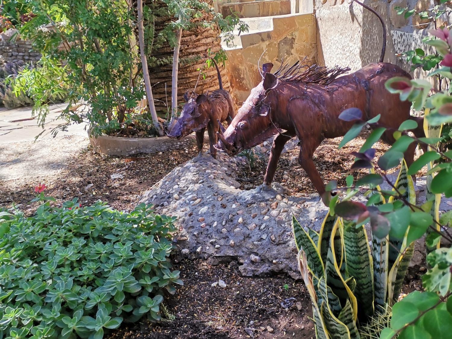 Guesthouse Terra Africa Windhoek Bagian luar foto