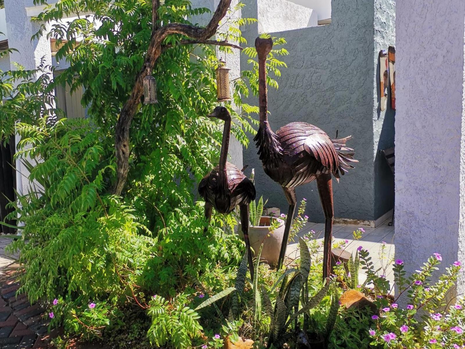 Guesthouse Terra Africa Windhoek Bagian luar foto