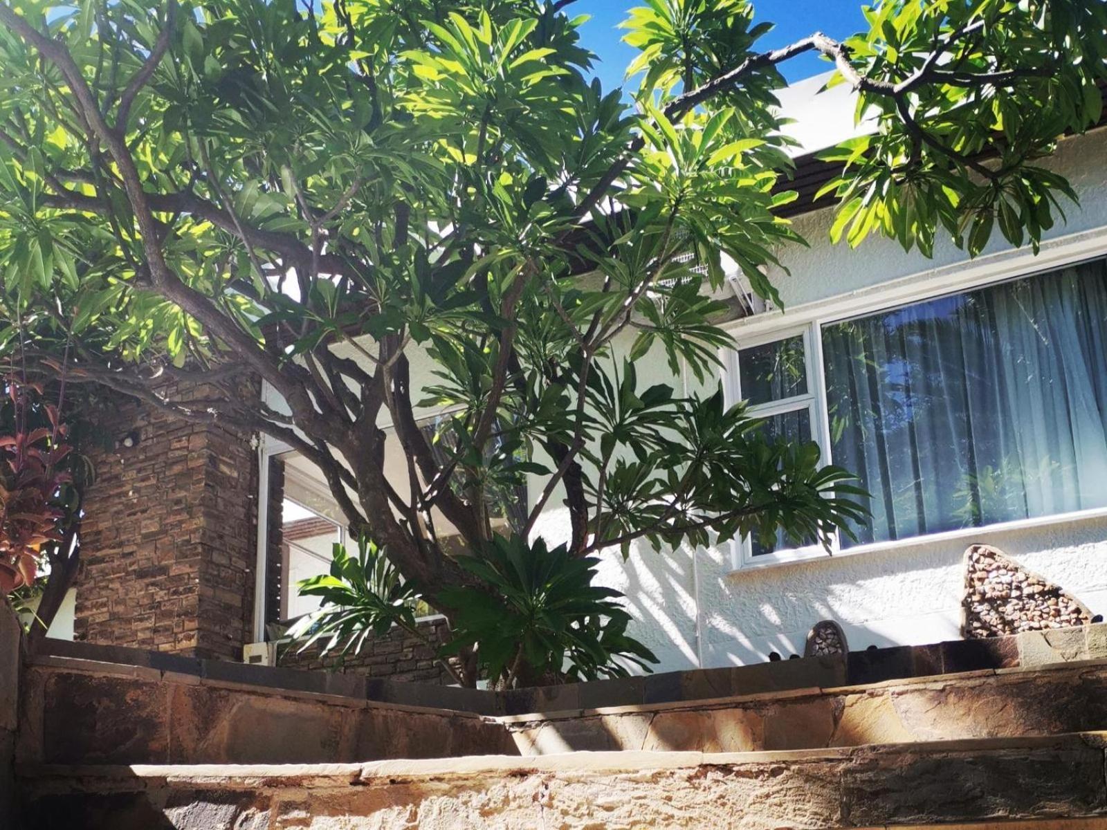 Guesthouse Terra Africa Windhoek Bagian luar foto